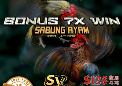 Situs Sabung Ayam Sv388 Apk Adu Ayam Live Terbaru Di Indonesia