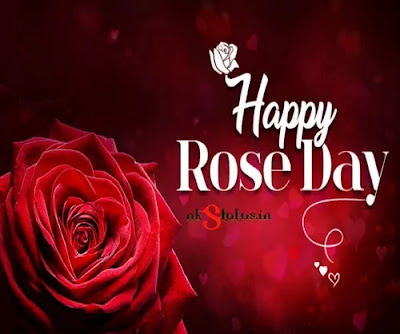 Wishes For Rose Day