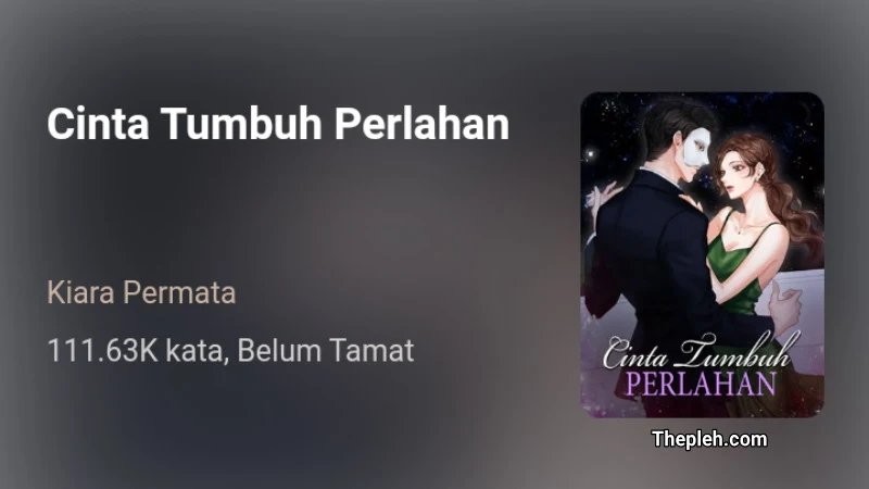 Novel Cinta Tumbuh Perlahan