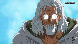 ワンピースアニメ WCI編 860話 シルバーズ・レイリー Silvers Rayleigh CV. 園部啓一 | ONE PIECE ホールケーキアイランド編