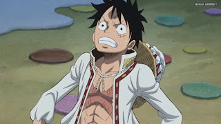 ワンピースアニメ WCI編 798話 ルフィ かっこいい Monkey D. Luffy | ONE PIECE Episode 798