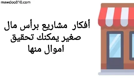 أفكار مشاريع برأس مال صغير يمكنك تحقيق أموال منها