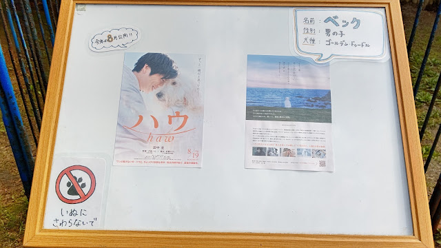 北海道 道北 稚内市動物ふれあいランド 映画ハウ 田中圭 池田エライザ