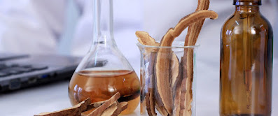 Medicinal Mushroom Extracts and  Supplement