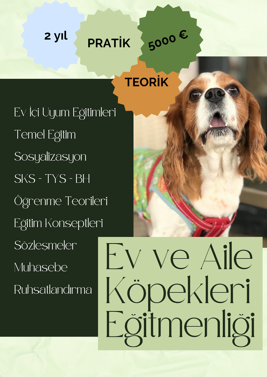 İzmir Köpek Eğitmenliği Kursu