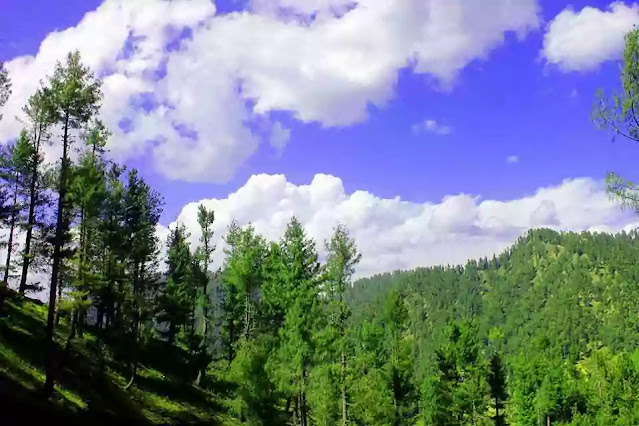 Swat from Islamabad | A scenic journey towards tourist's heaven