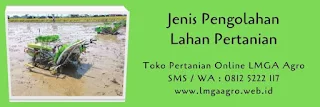 harga benih, jual benih, jagung, benih jagung nk perkasa, syngenta seed, manfaat jagung, toko pertanian, toko online, lmga agro