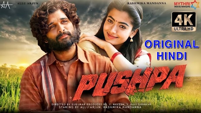 Pushpa Full Movie Download in Hindi 480p FilmyMeet 9xmovies Filmyzilla Filmy4wap Filmyhit