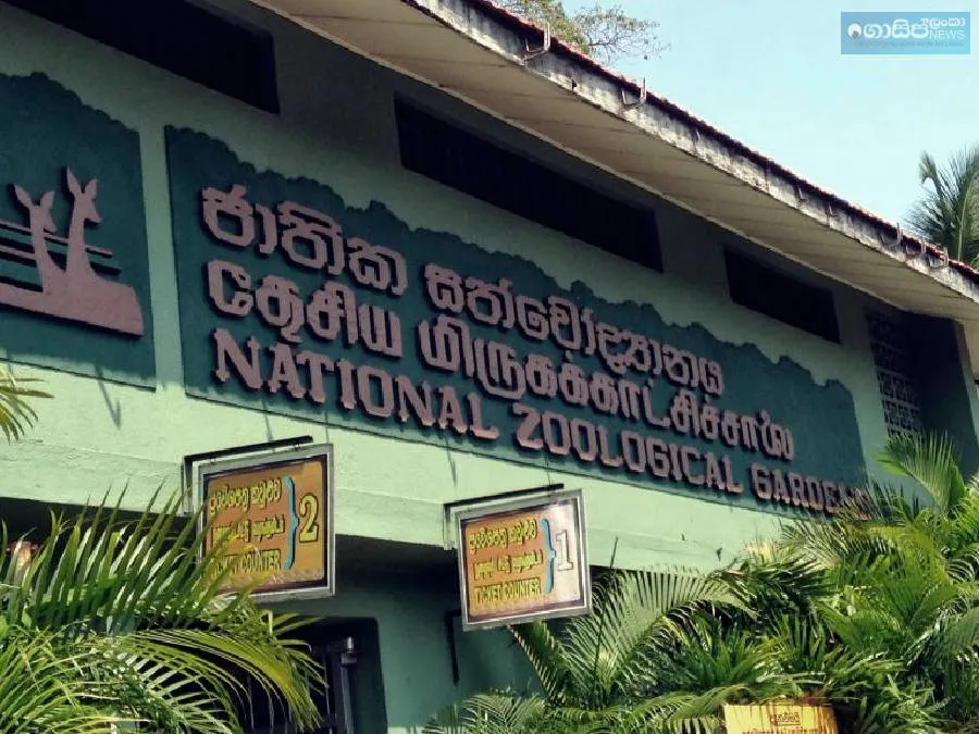 dehiwala-zoo