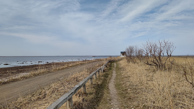 北海道 道東 野付半島 トドワラ