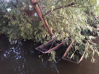 two wooden punts sit in the water, partially covered by bushes
