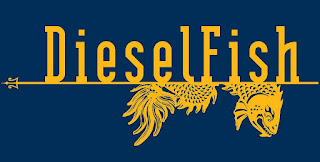 San Jose/San Francisco Dragon Boat Team DieselFish offers free dragon boat lessons in Redwood City