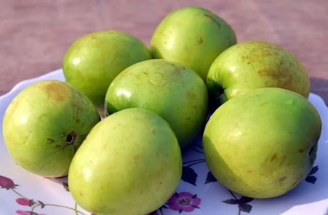  Increases digestion Jujube fruit