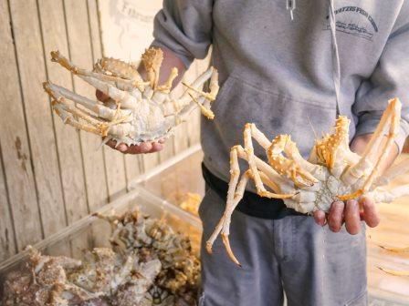 SUPER Big Caribbean KING Crab RUNDOWN!! | Jamaican Seafood