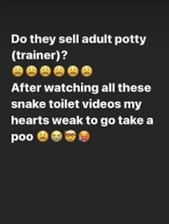 How do snakes get into the toilet?