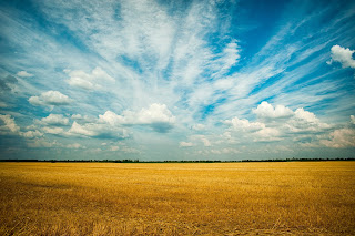 नज़रिया का खेल,Farm,#field