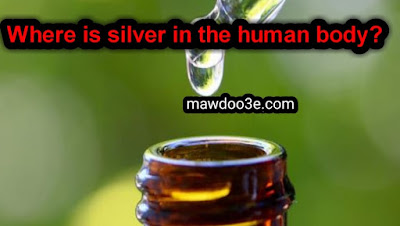Where is Silver in The Human Body