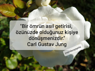 Resim