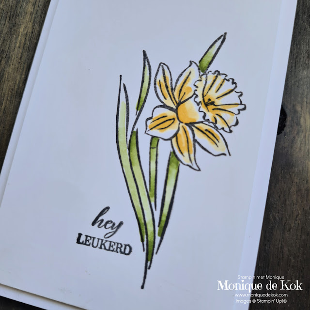 Daffodil Daydream, zelfgemaakt, kaart, clean & Simple, creatieve challenge, Stampin met Monique