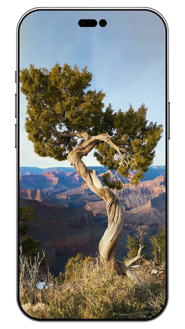 ios 16 tree wallpaper iphone