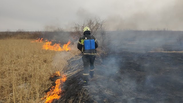 Mai multe focare de vegetație uscată au fost stinse de pompieri în ianuarie