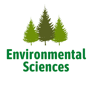 critical thinking definition environmental science