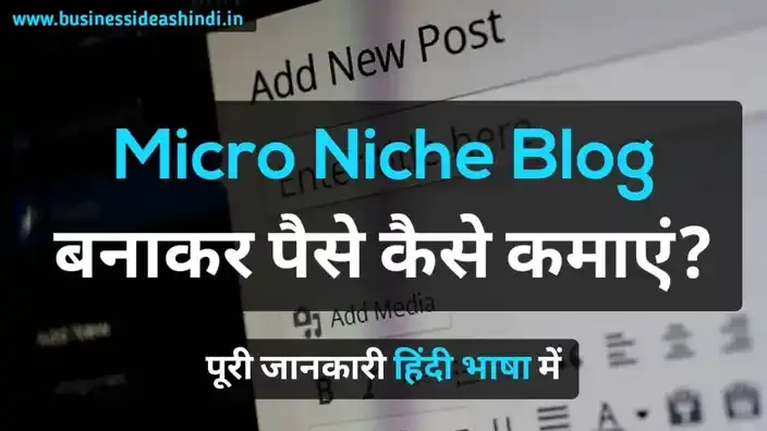 Micro Niche Blog बनाकर पैसे कैसे कमाएं?