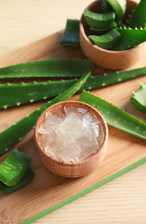 Imagine showing natural Aloe Vera