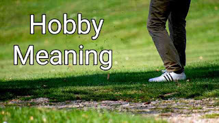 Hobby Meaning In Hindi