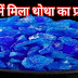 खेती में नीला थोथा का प्रयोग कैसे करें/copper sulfate use in agriculture