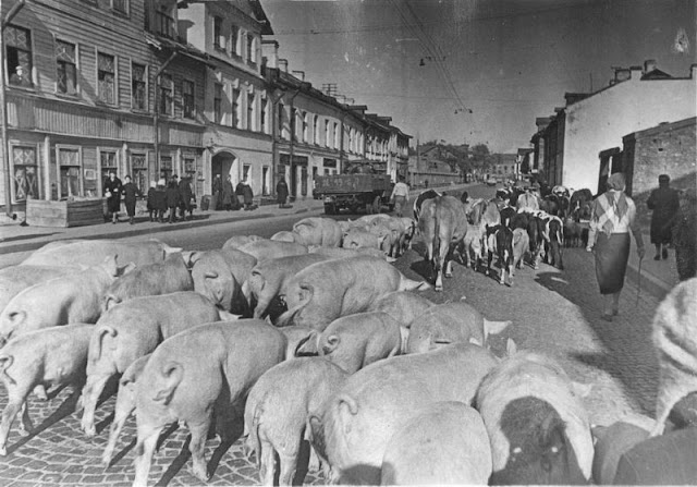 Históricas fotografías del asedio de Leningrado