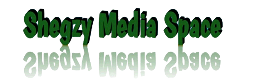 Shegzy media network 
