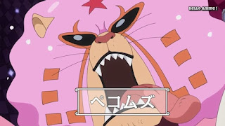 ワンピースアニメ WCI編 871話 ペコムズ Pekoms | ONE PIECE ホールケーキアイランド編