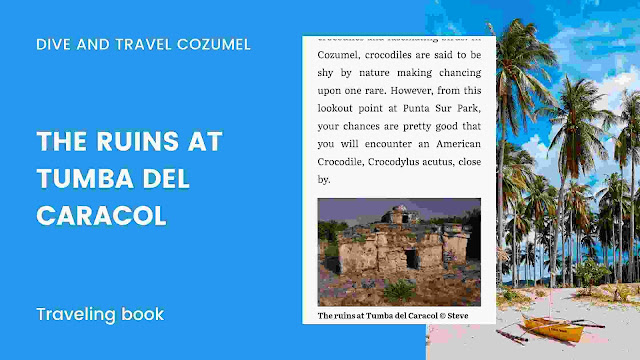 review-buku-dive-and-travel-cozumel-ruins