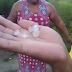 Moradores relatam chuva de granizo em Serrinha; veja vídeos