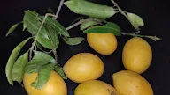 BELI BUAH GEMIA SIAM