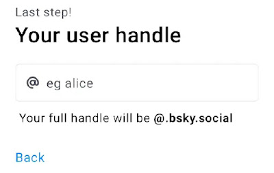 Choose a unique username or handle for your Bluesky account.