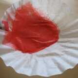 Coffee Filter Poppy Flower step 1