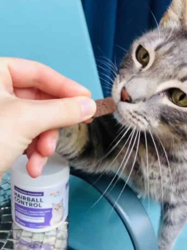 hairball control treats