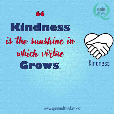 Quotes about kindness and compassion