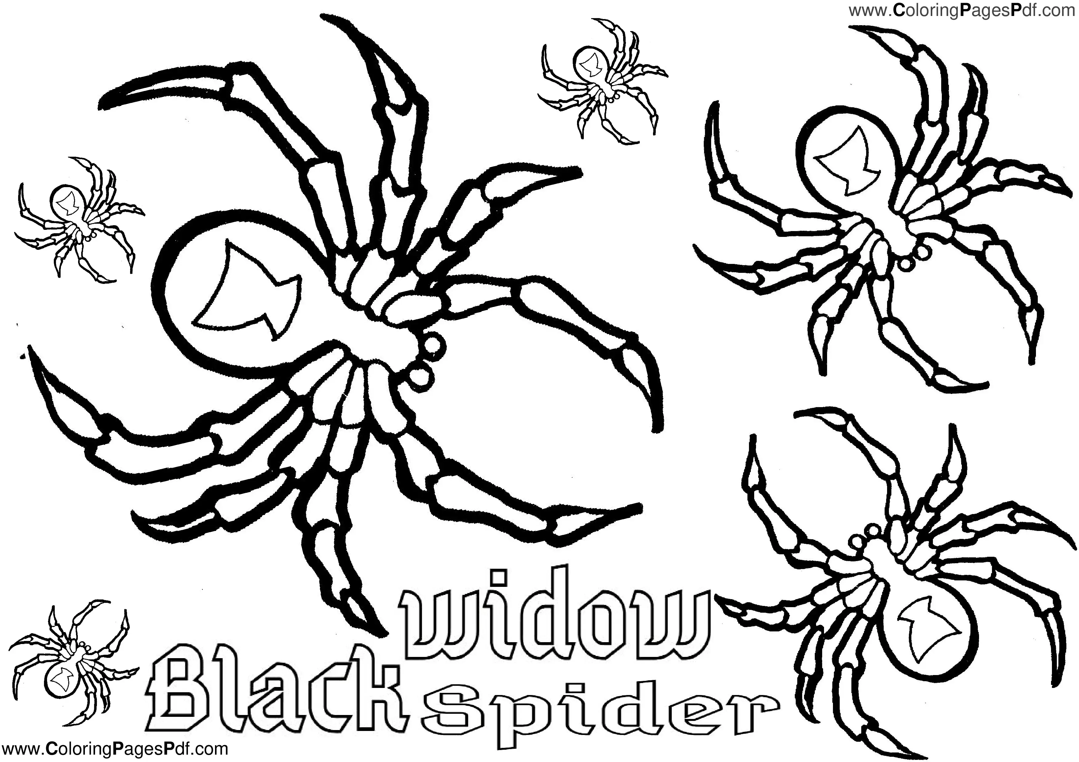 spider printable coloring pages,spider coloring page printable,spider coloring pages to print,coloring sheets,color by number printable,heart coloring page,printable coloring sheets,bluey coloring page