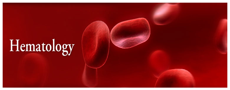 FUNDAMENTALS OF NURSING CARE IN PATIENTS WITH HEMATOLOGICAL DISORDERS