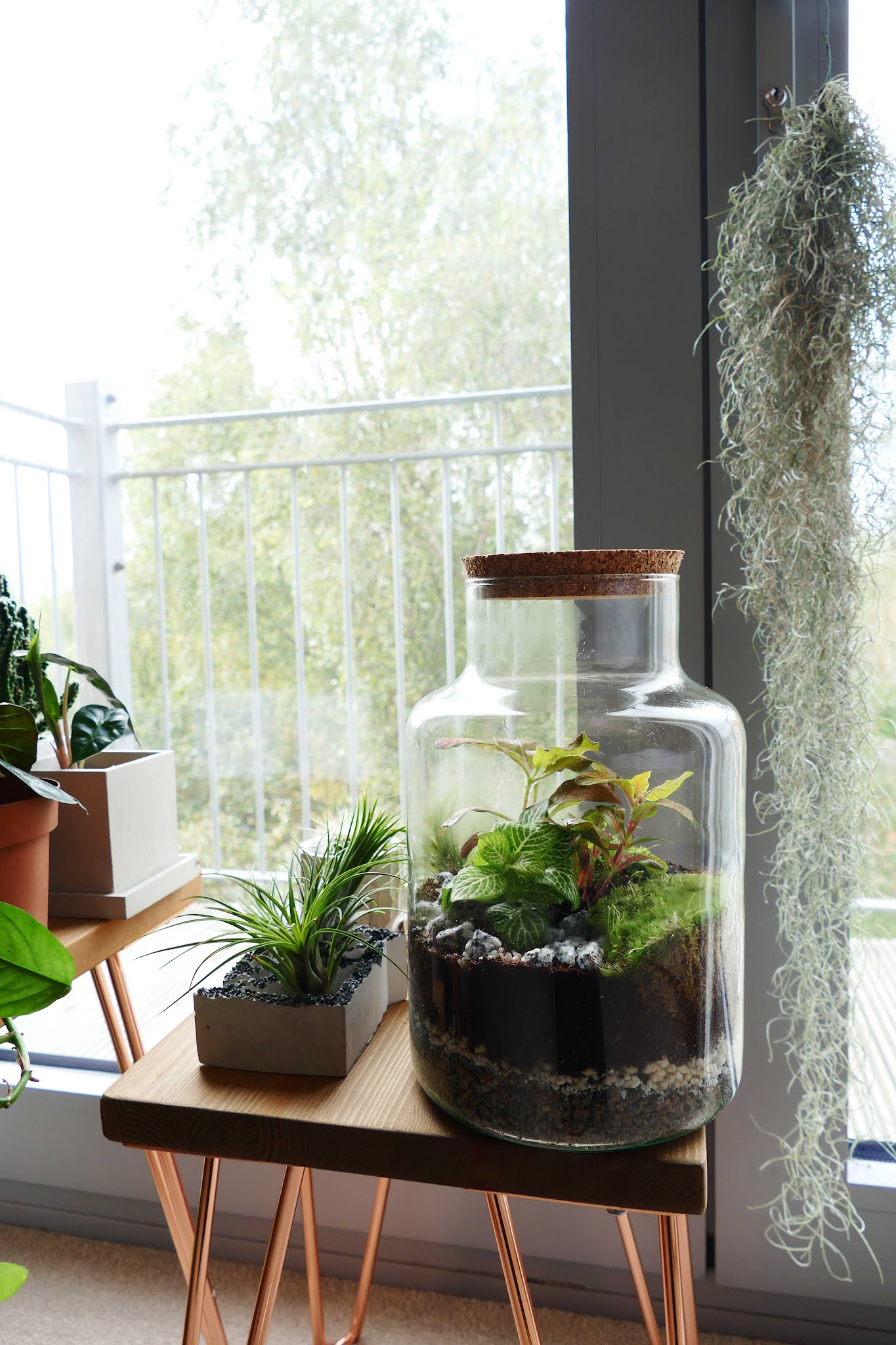 How To Decorate Your House With Terrariums - Underglass Terrariums Review 