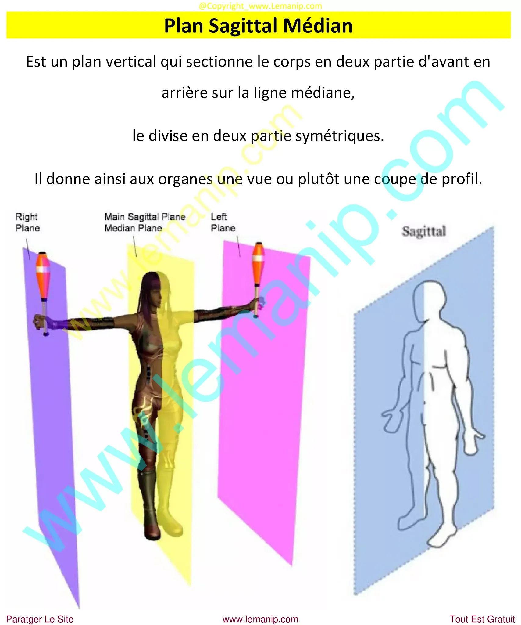 knee mri anatomy radiology,anatomy of ct scan,mri cross sectional anatomy,wrist mri anatomy radiology,mri spine anatomy radiology,ct scan anatomy,brain anatomy radiology ct,radiology cafe anatomy,ct brain anatomy radiology,radiographic anatomy