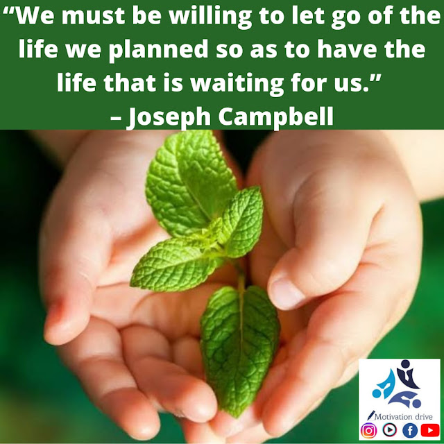 "We must be willing to let go of the life we planned so as to have the life that is waiting for us." Joseph Campbell