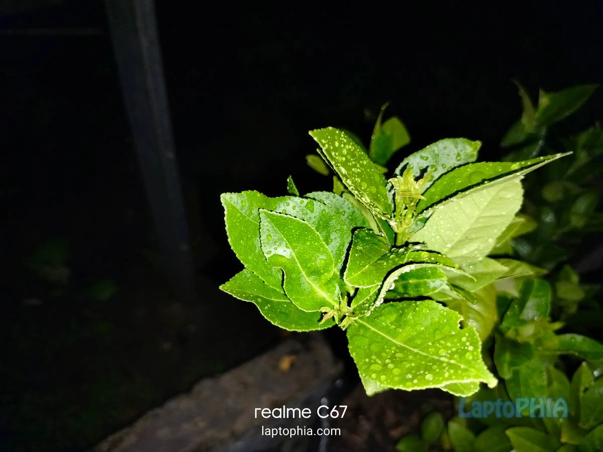 Hasil Foto Kamera Realme C67