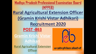 MP PEB Rural Agricultural Extension Officer Result