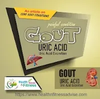 Gout-healthnfitnessadvise-com