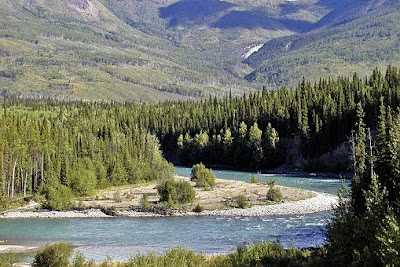 Sungai Yukon