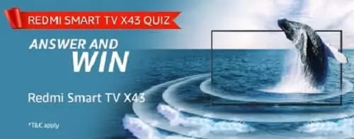 Redmi Smart TV X series?